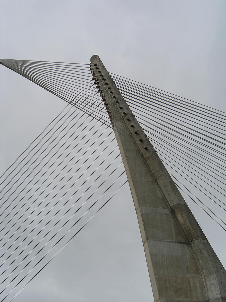 Ponte dos Tirantes, Pontevedra, Spanien 