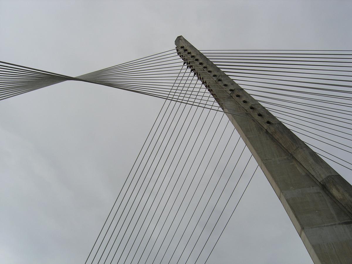 Ponte dos Tirantes, Pontevedra, Spanien 