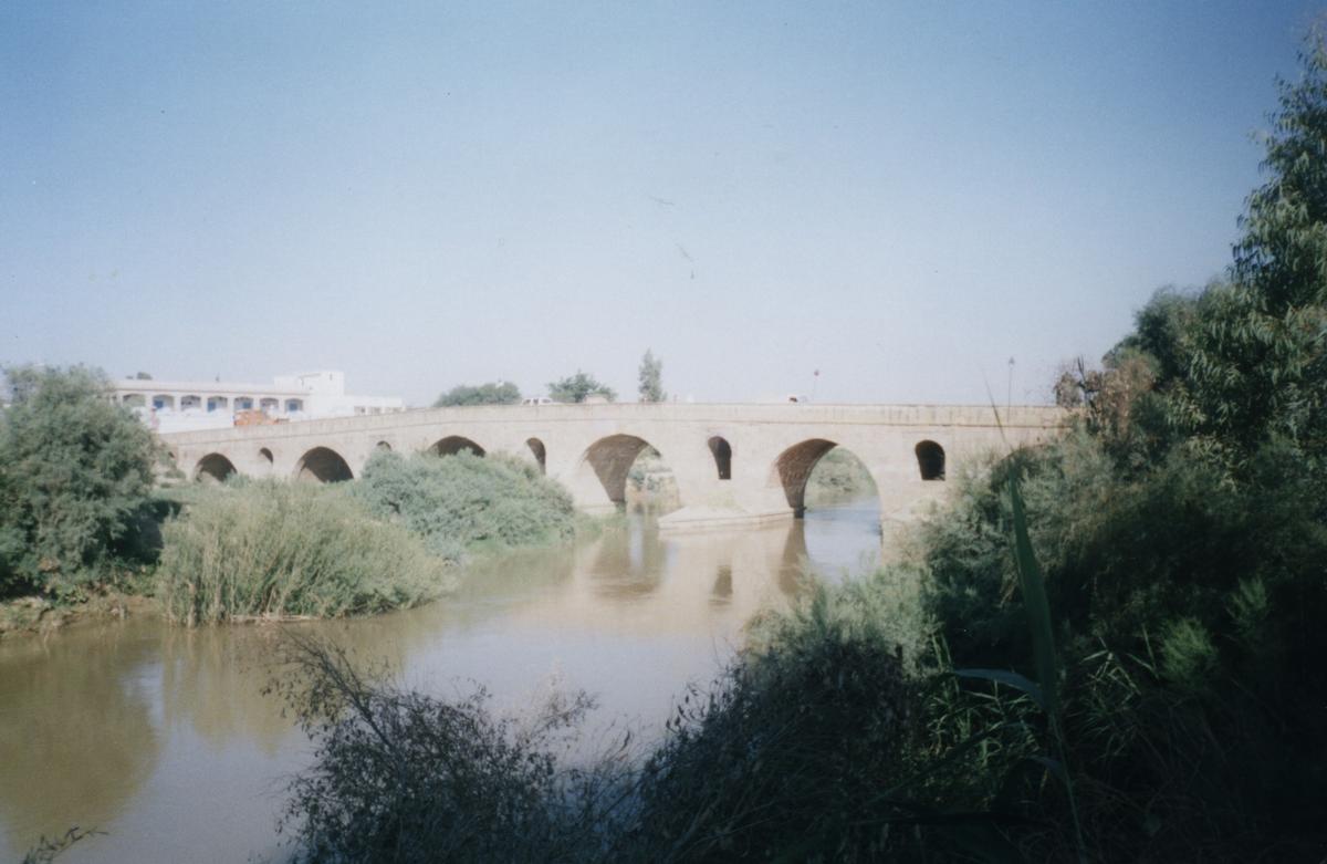 Pont de Mdjez El Bab 
