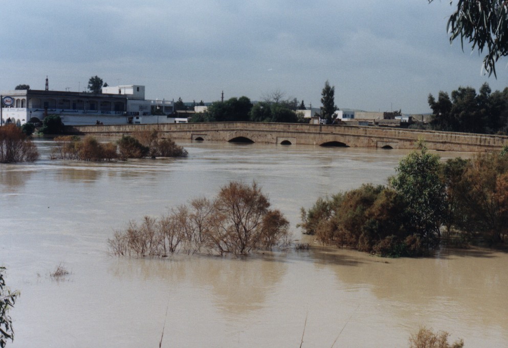 Pont de Medjez EL Bab aux innondations de janvier 2003 