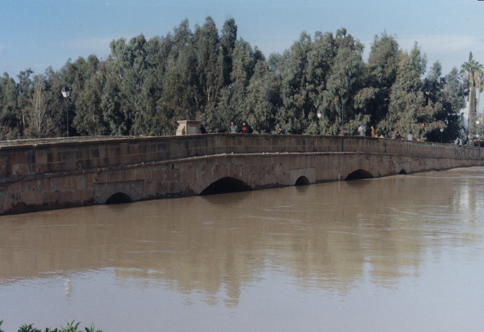 Brücke in Medjez El Bab während eines Hochwasser 