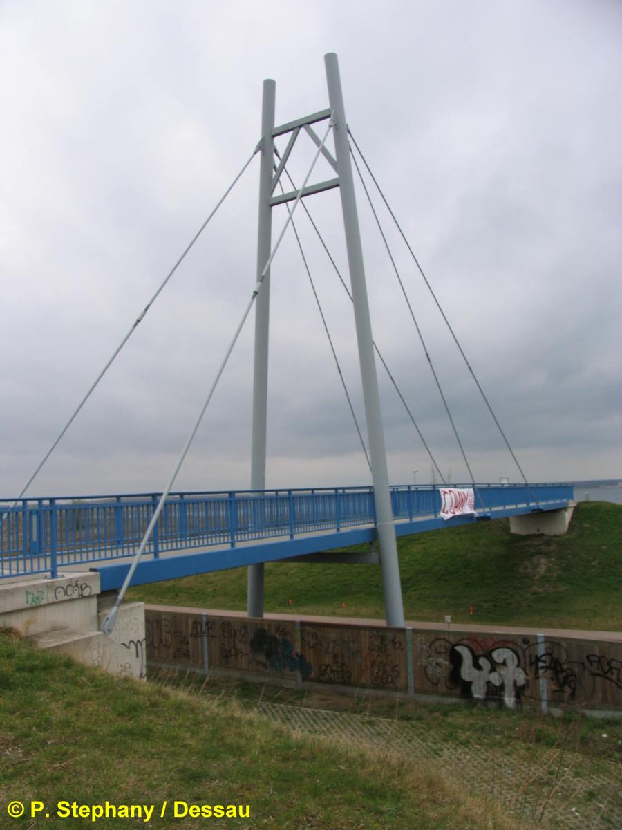 Pont à haubans de Gräfenhainichen (Saxe-Anhalt) 