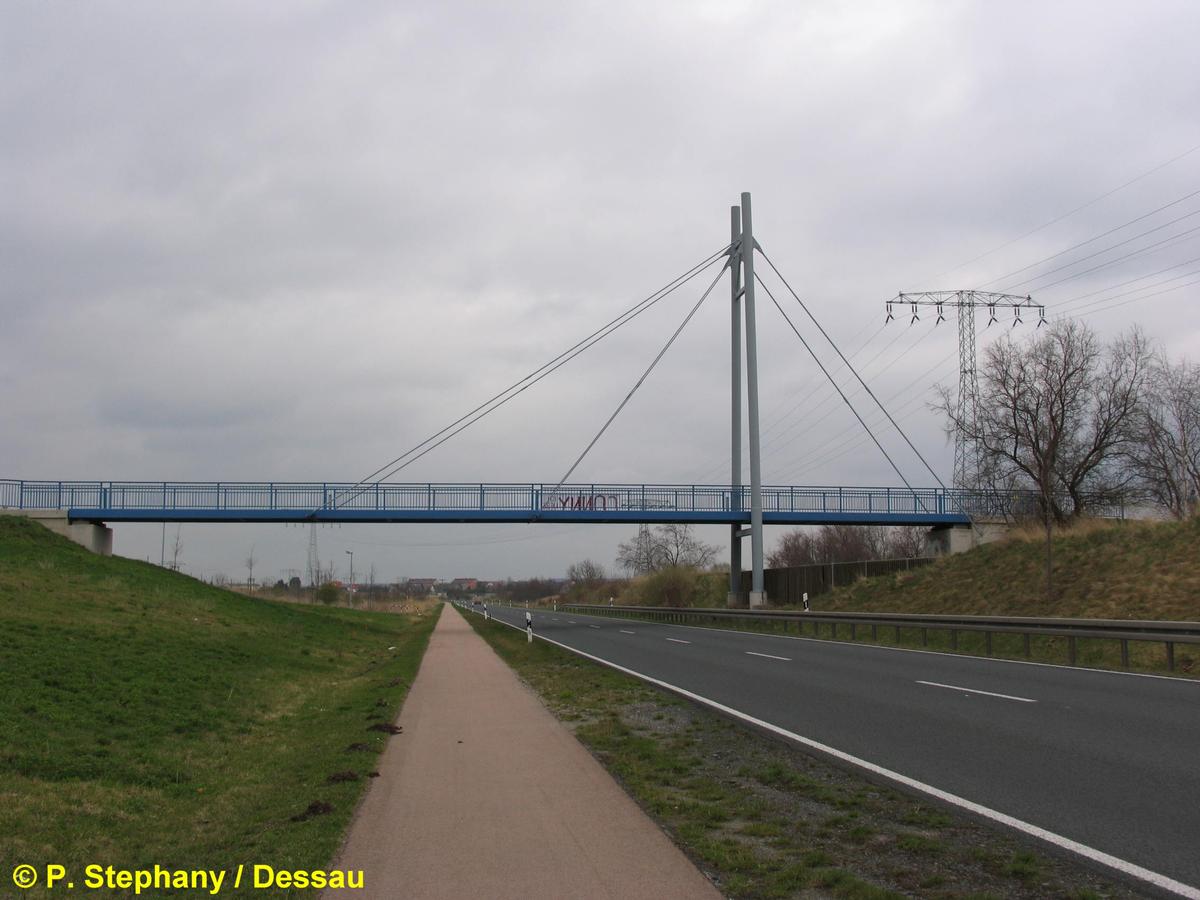 Gräfenhainichen cable-stayed bridge (Saxony-Anhalt) 