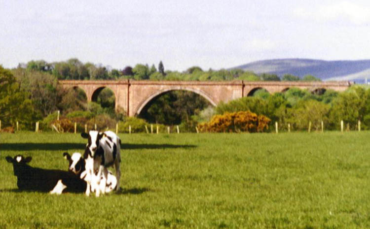 Ballochmyle Viaduct 
