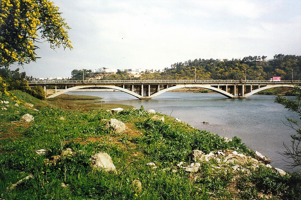 Pont-route sur l'Oued Regreg 