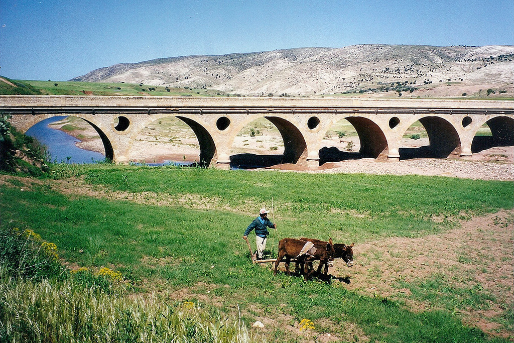 Brücke über den Oued Tensift Bridge 