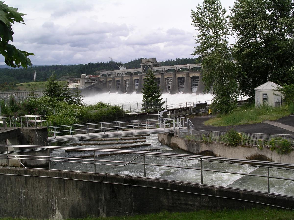 Bonneville Dam, Bonneville, Oregon 