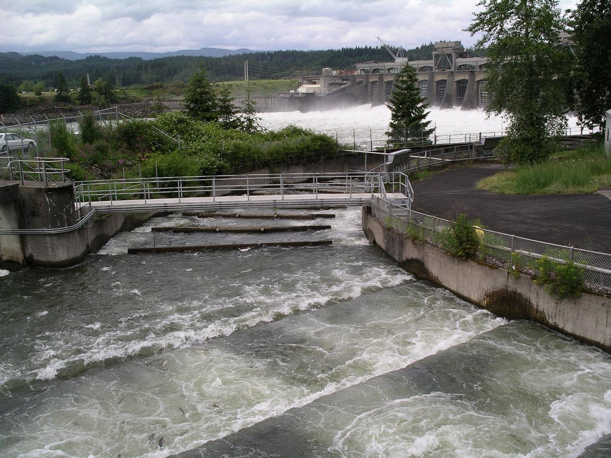 Bonneville Dam, Bonneville, Oregon 