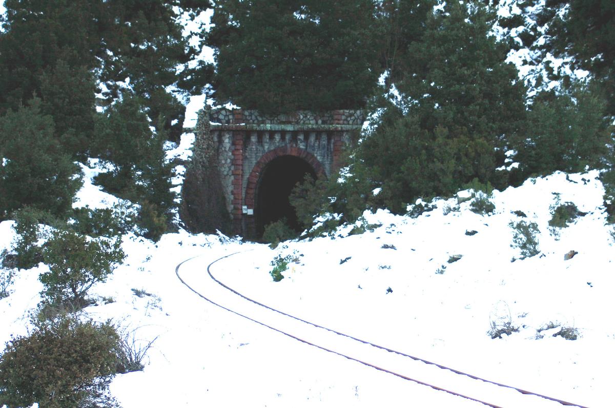 Tête sud du Tunnel de Vizzavona (alt. 900 m.) 