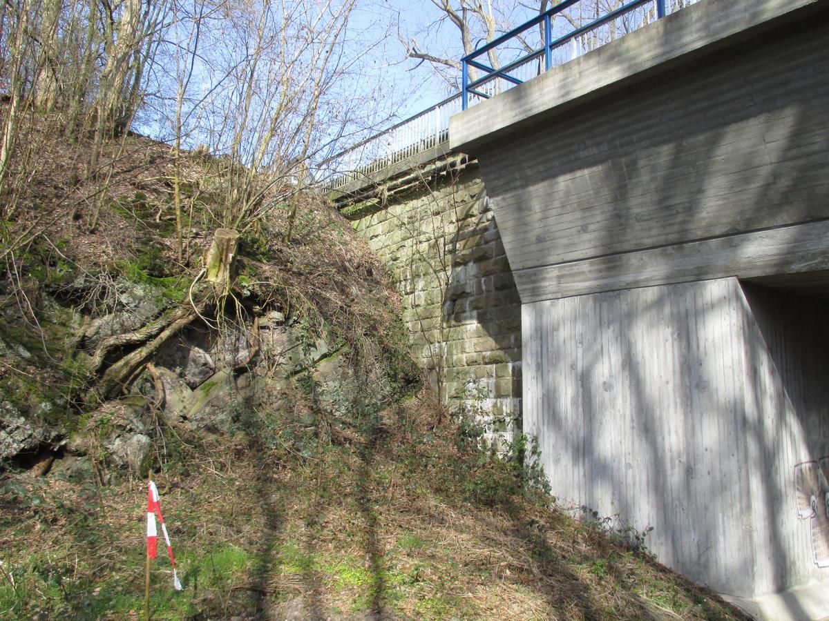 Pont de l'Overbeck 