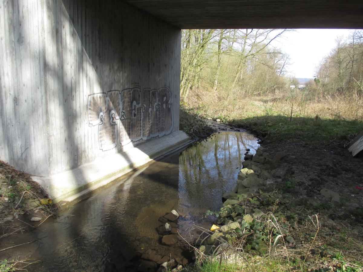 Mediendatei Nr. 272478 Der Bahneinschnitt der Elbschetalbahn schneidet einen Teil des Einzuggbietes der Elbsche ab. Der Bahnseitengraben führt dieses Wasser ab und ist immer mit Wasser gefüllt. Dies hatt dazu geführt, dass die alte Bahnbrücke nicht durch einen Damm ersetzt werden durfte.