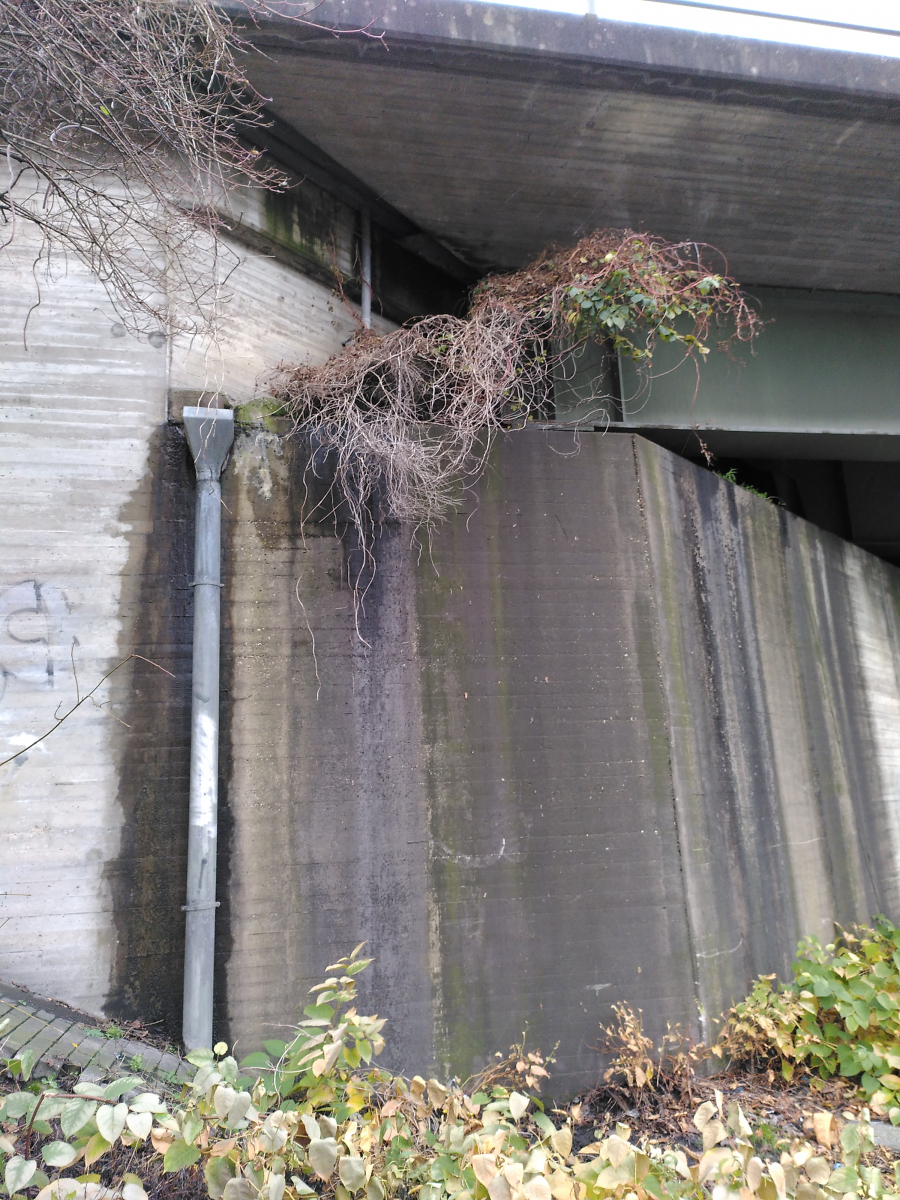 Münsterstrasse Overpass 