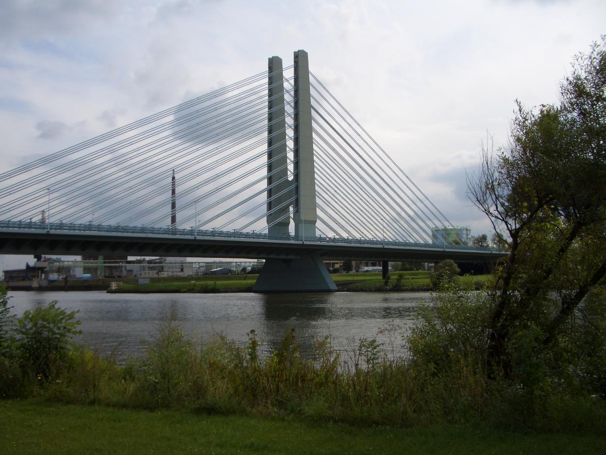 Aventis Bridge 
