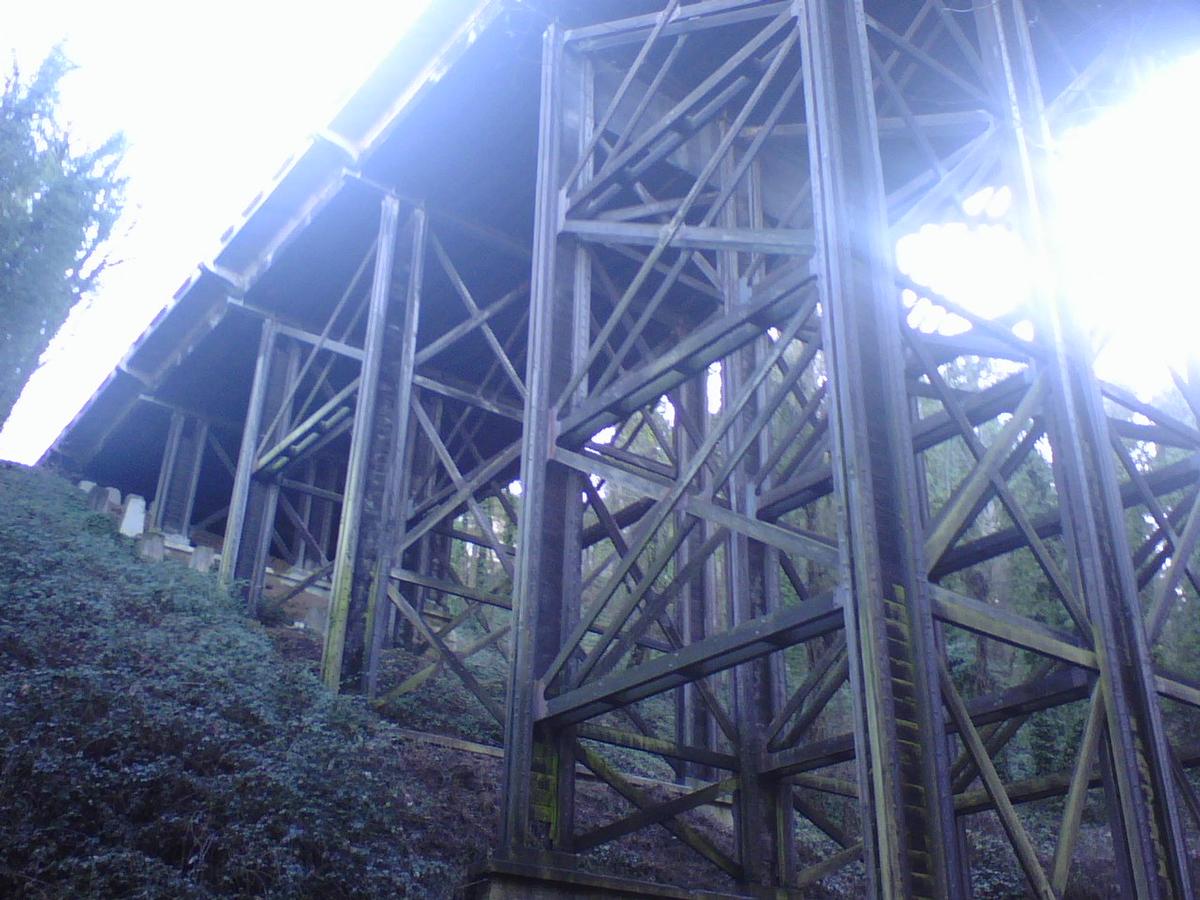 Newbury St. Viaduct, Barbur Boulevard (Hwy 99W) @ George Himes Park, Portland 