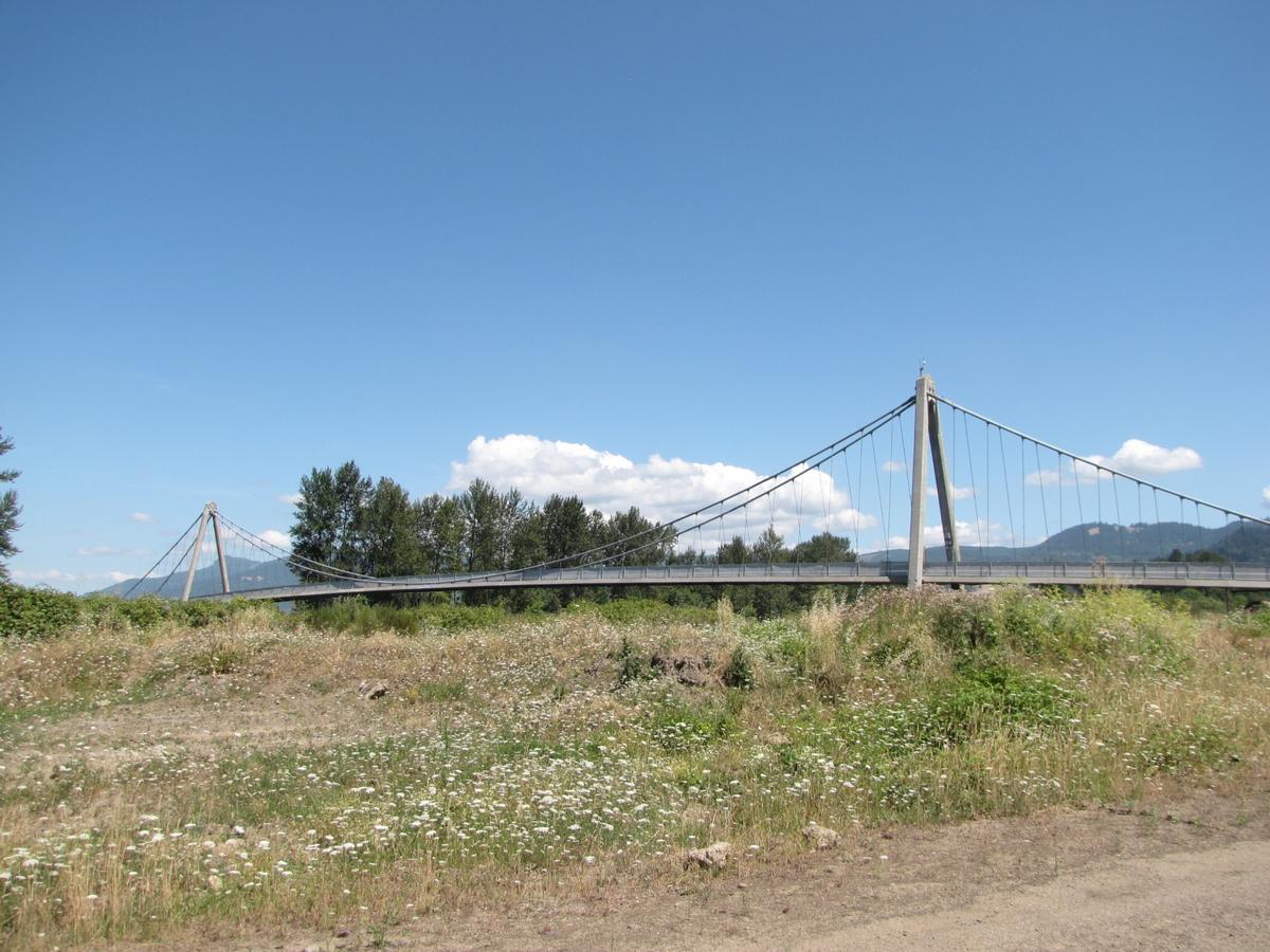 McKenzie River Bridge 