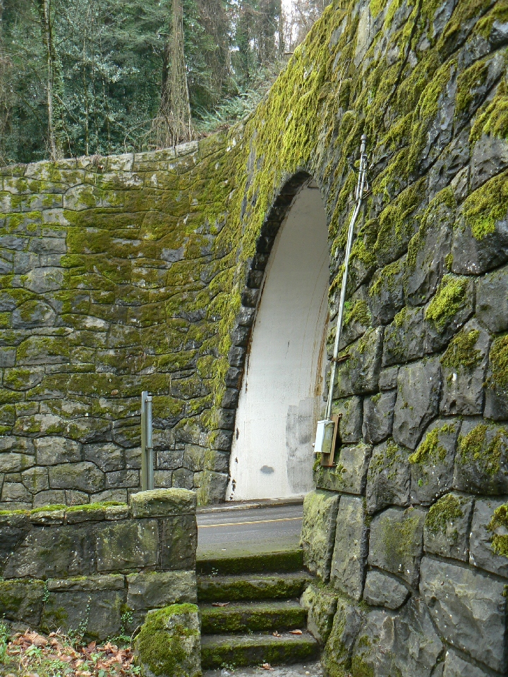 Cornell Tunnel 1 (east portal) 