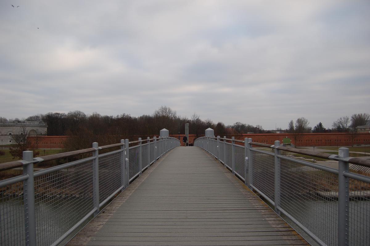 Danube Footbridge 