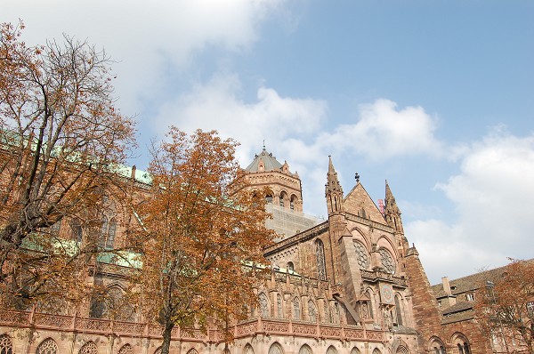 Cathédrale de Strasbourg 