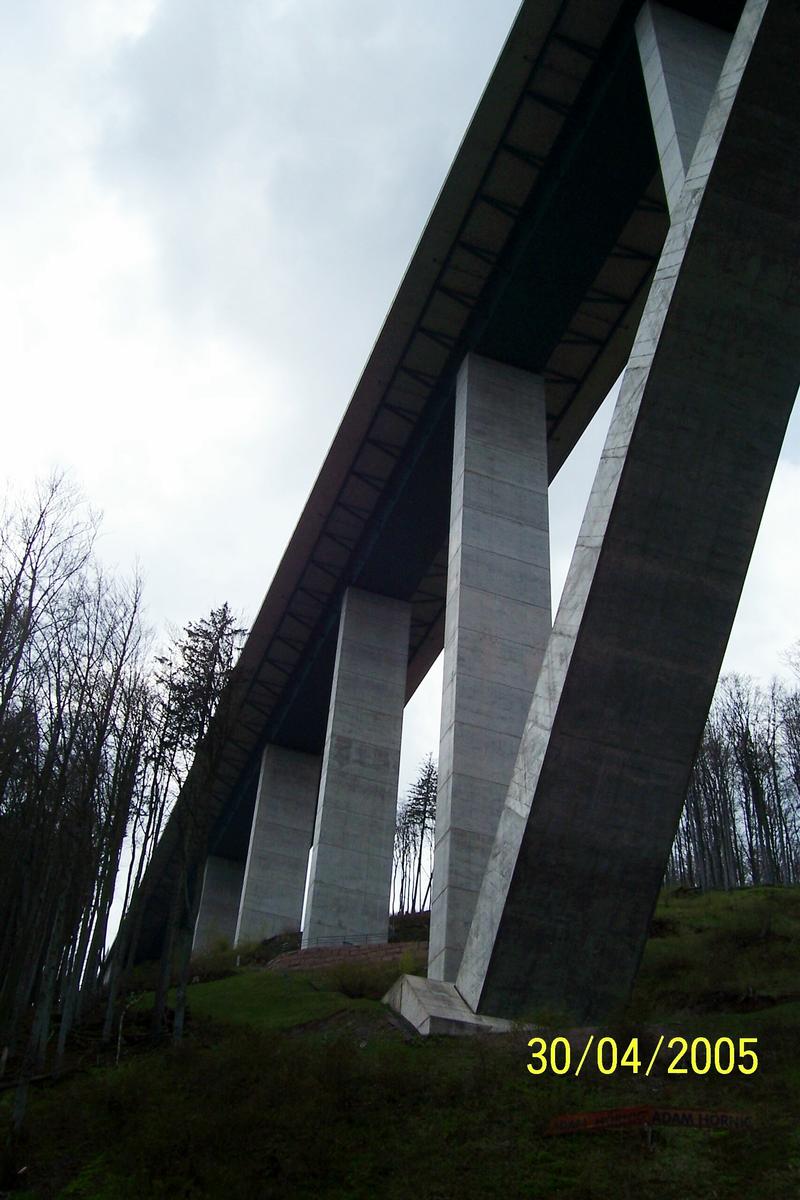 Wild Gera Viaduct 