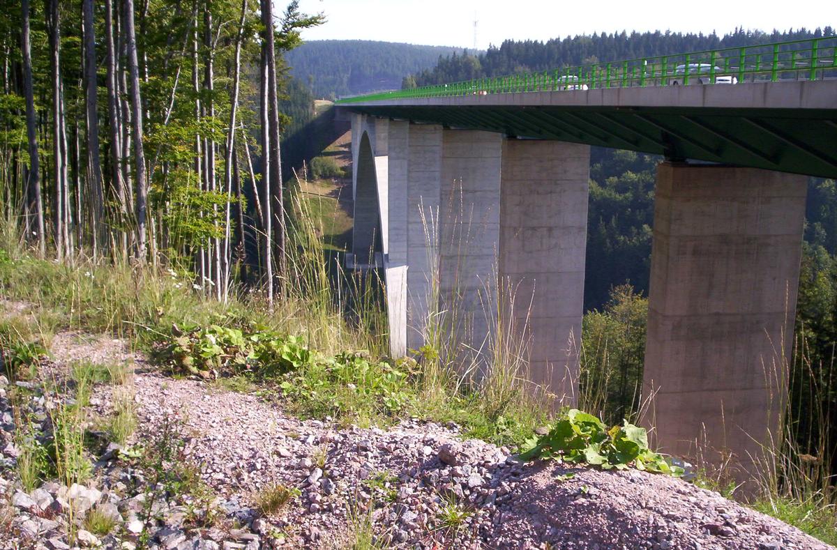 Talbrücke Wilde Gera 