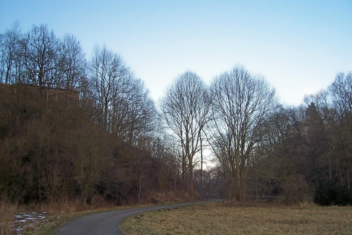 Mediendatei Nr. 53827 Frieda-Viadukt wurde am 3. April 1945 gesprengt, heute sind nur noch die auf den Bildern zu erkennenden Reste der Brücke zu sehen. befindlich zwischen Großtöpfer und Frieda in Hessen an der ehemaligen Landesgrenze zu Thüringen. Verkehrsweg war damals Eisenbahn (dazugehörend zur bekannten «Kanonenbahn-Strecke» Sie war 99 m lang und 26 m hoch und wurde 1910 erbaut