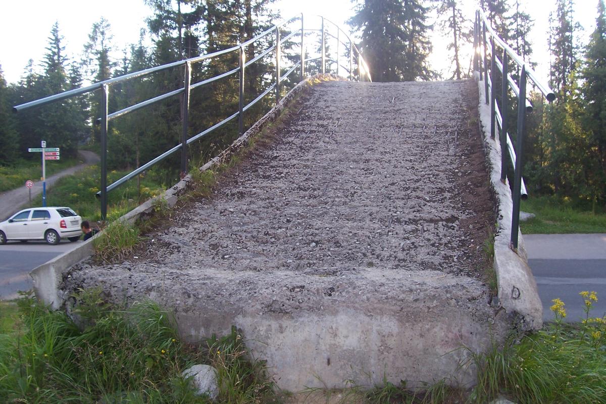 Footbridge at Strbske Pleso 
