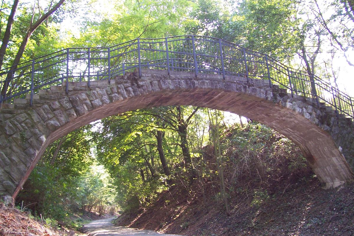 Pont dans le parc municipal de Mühlhausen, Thuringue 