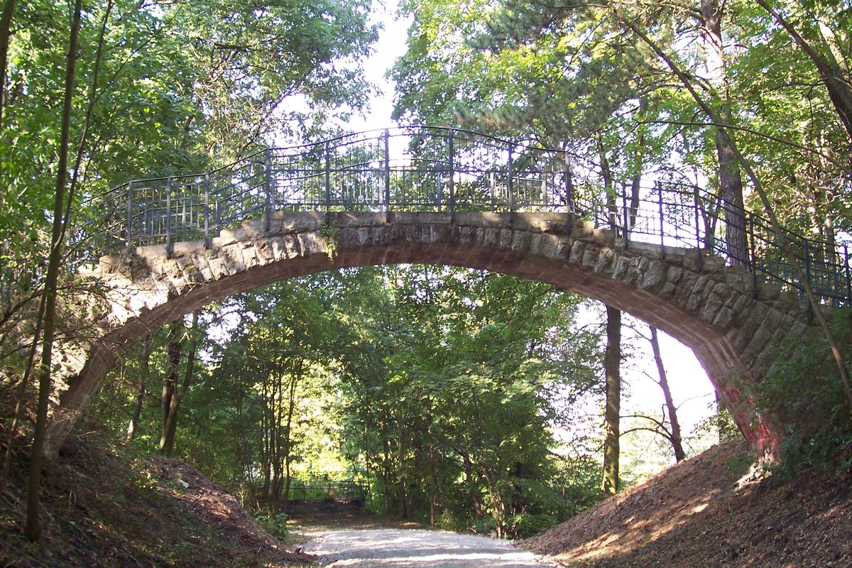 Pont dans le parc municipal de Mühlhausen, Thuringue 