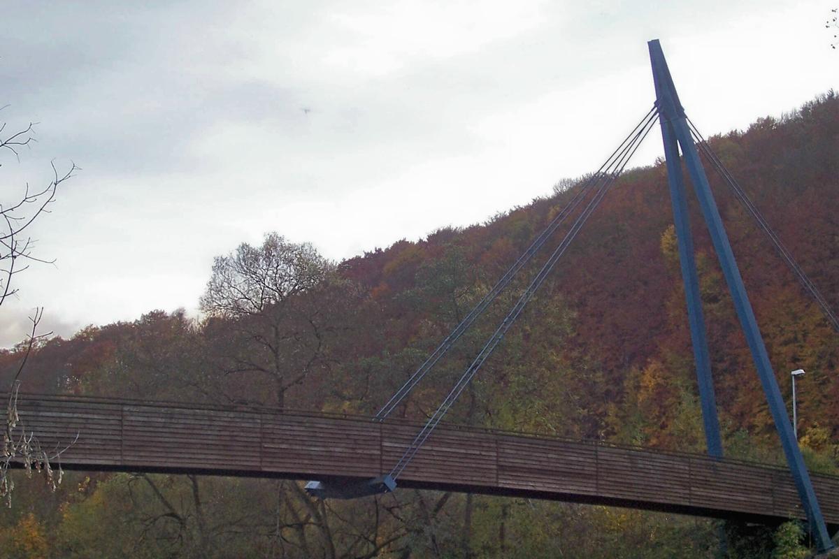 Rad- und Wanderweg-Brücke in Ebenshausen Schrägseilbrücke mit einer Spannweite von 50 m. Baujahr: 1997 Seile: Stahl, Brückentafel: Holz Pylone: Stahl