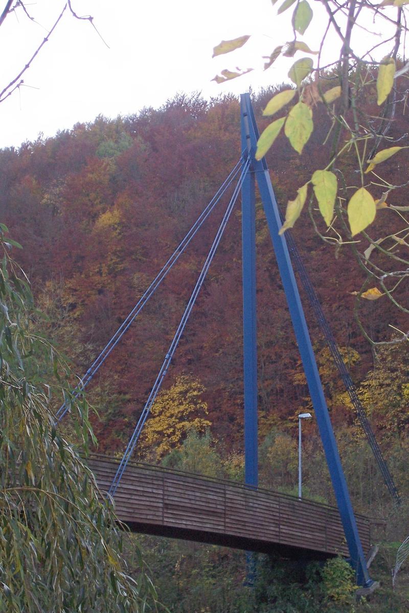 Rad- und Wanderweg-Brücke in Ebenshausen Schrägseilbrücke mit einer Spannweite von 50 m. Baujahr: 1997 Seile: Stahl, Brückentafel: Holz Pylone: Stahl