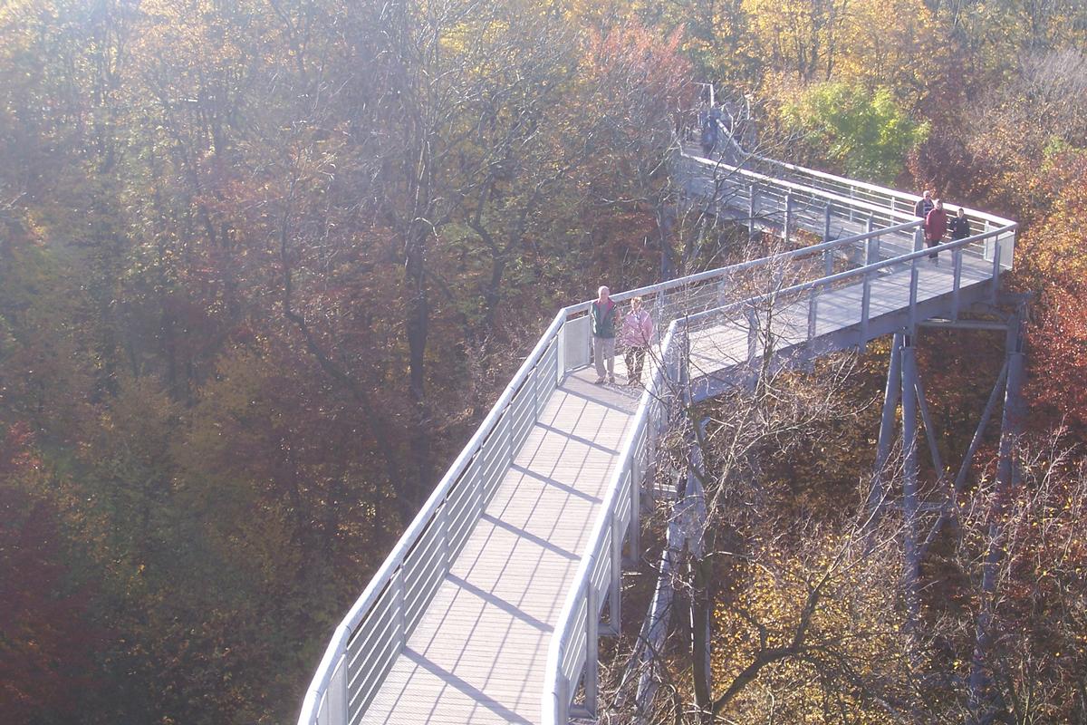 Treetop Path at Hainich National Park 