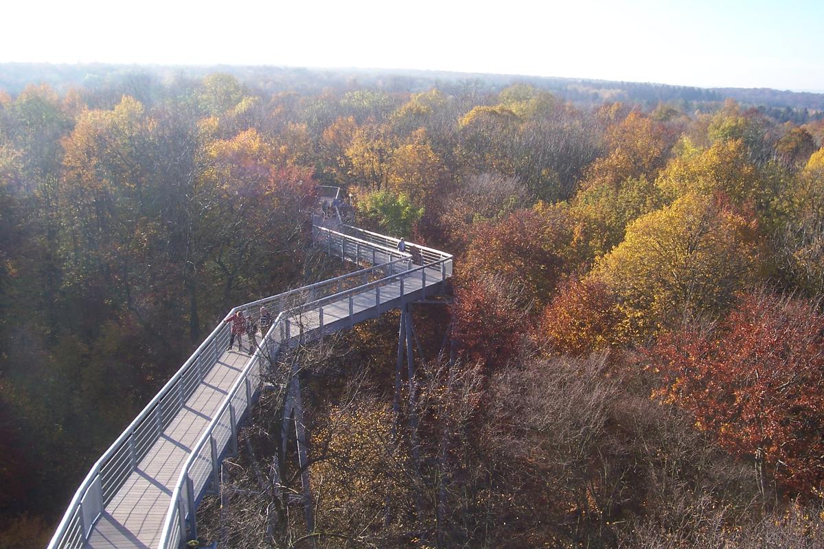 Treetop Path at Hainich National Park 