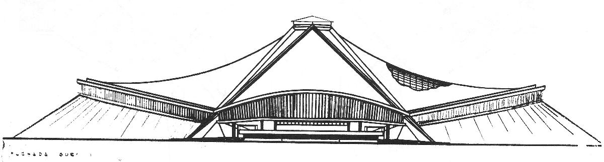 An elevation drawing shows the curvature of the main cables and the secondary cables that wrap over them 