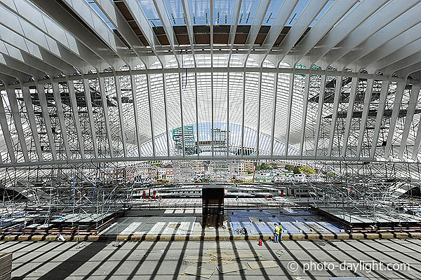 Gare des Guillemins à Liège (architecte: Santiago Calatrava, études: bureau Greisch) 