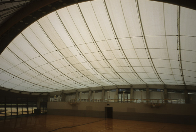 Hakuryu Dome 