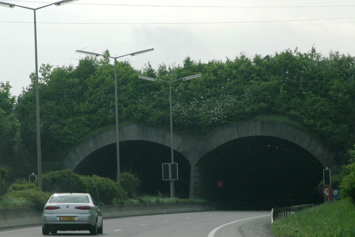 Aessen Tunnel (Sanem) 