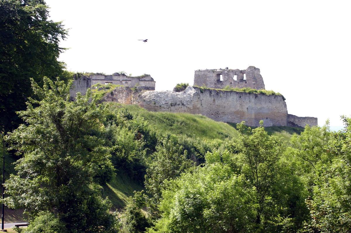 Château de Coucy 