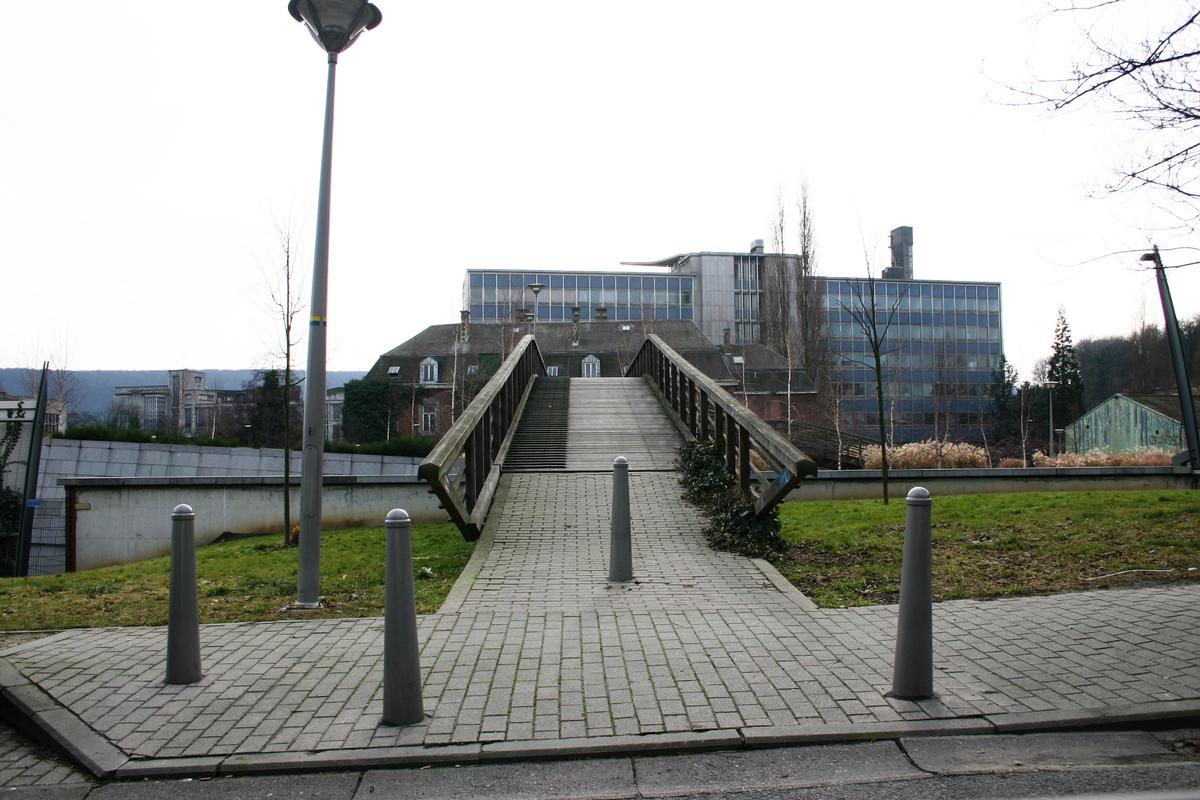 La Passerelle de l'Avenue des Tilleuls à Liège 