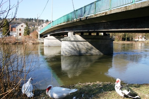 Hony Bridge 