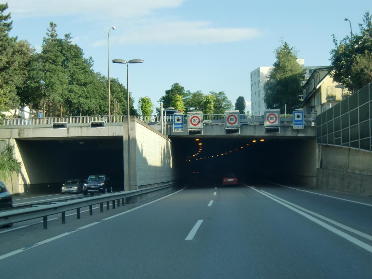 Sonnenhof Tunnel northern portals 