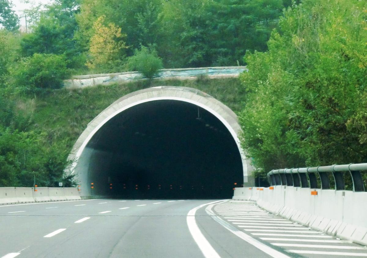 Tunnel de Campolungo 