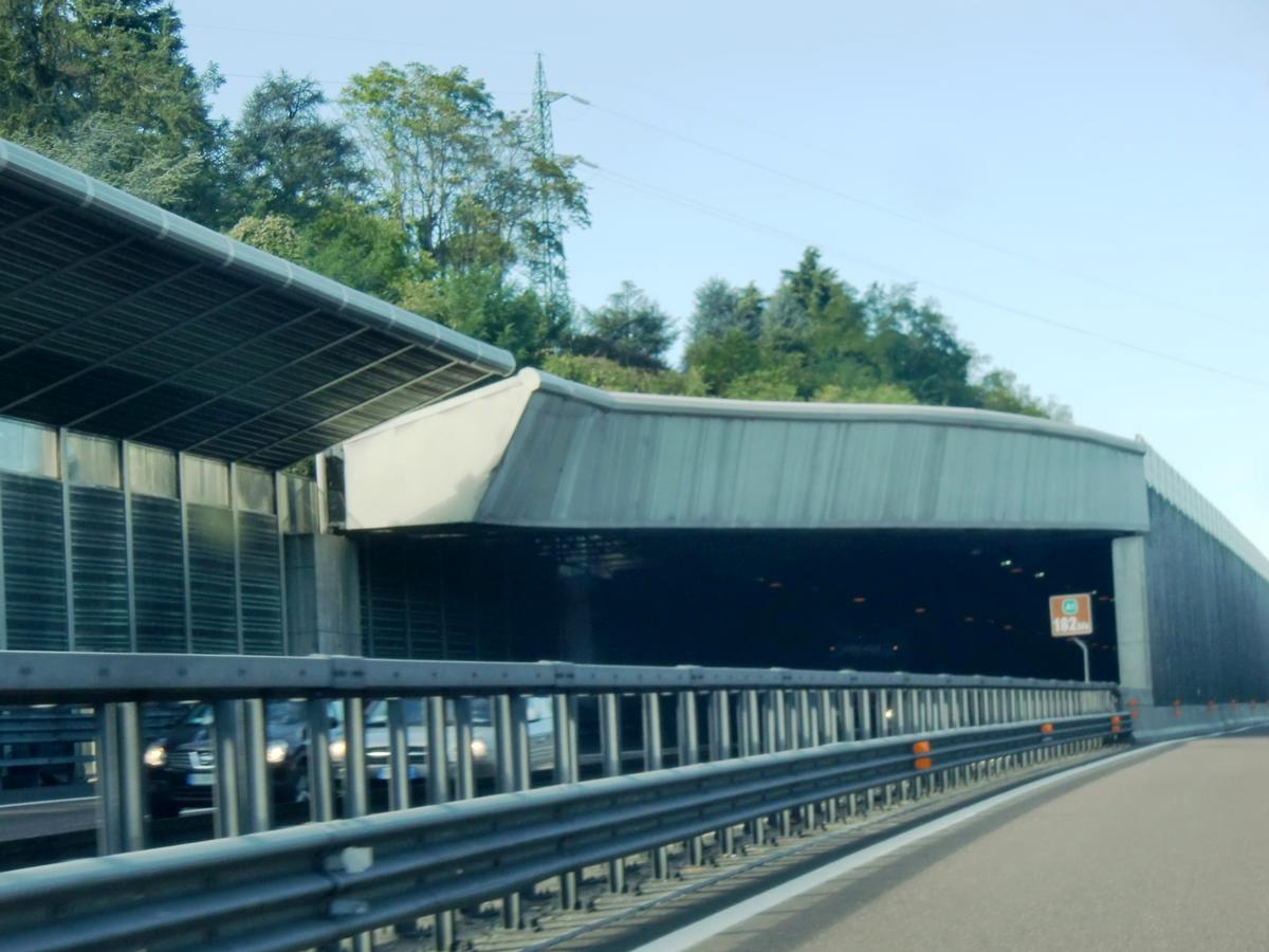 Calzavecchio artificial Tunnel 