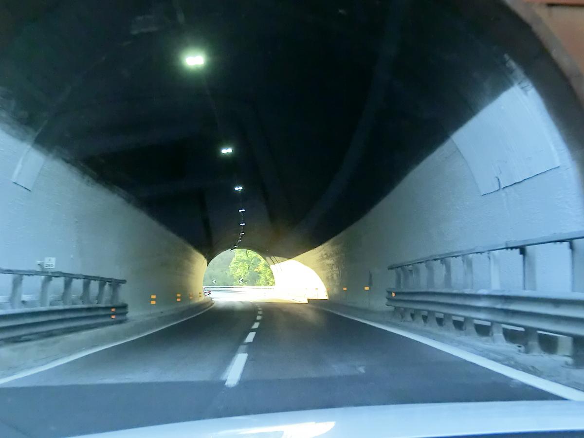 Tunnel Lastrone 