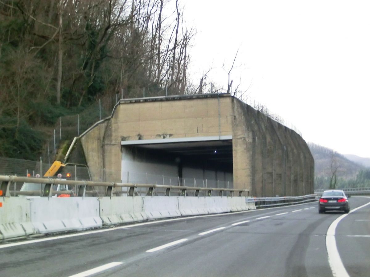 Monte Frassino 1 Tunnel southern portal 