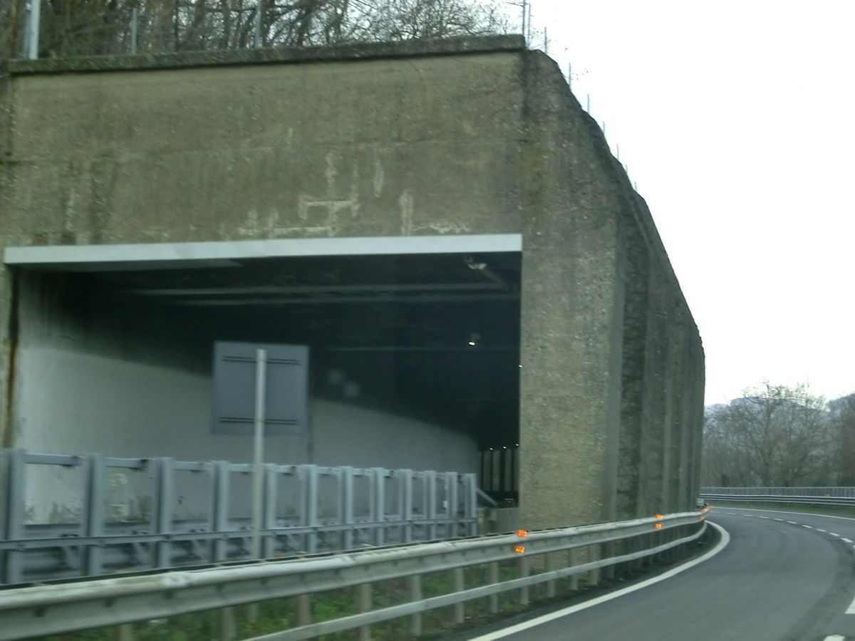 Monte Frassino 2 Tunnel southern portal 