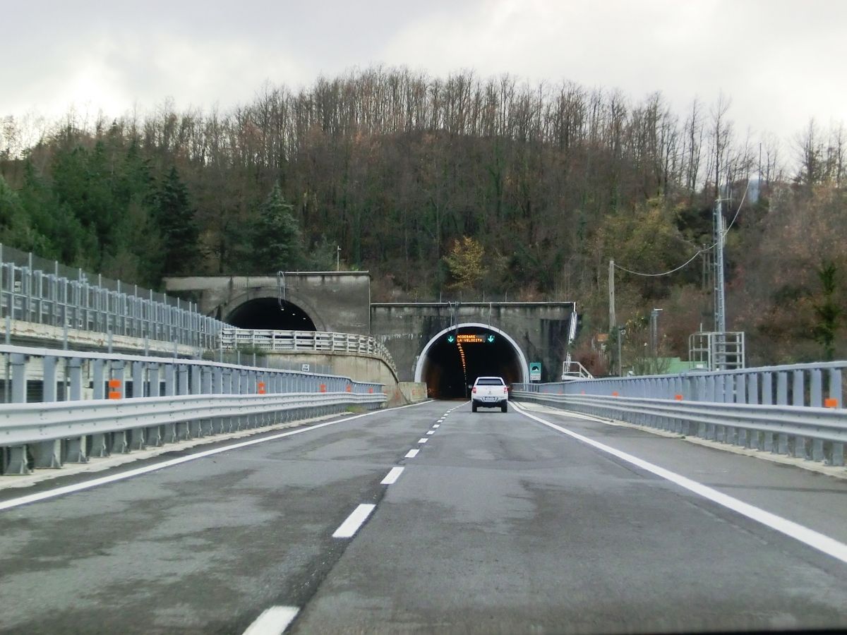 Sospara Tunnel northern portals 