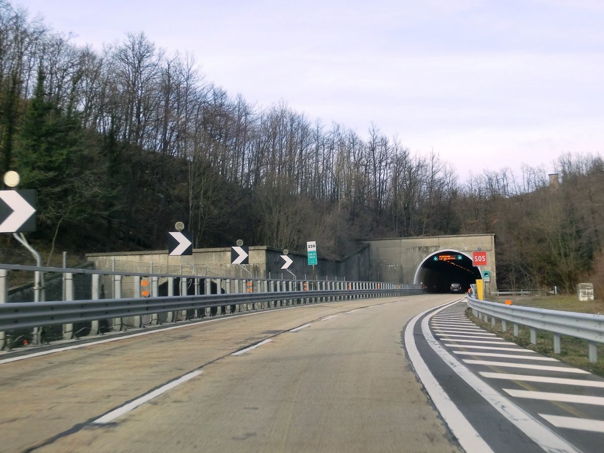 Sospara Tunnel southern portals 