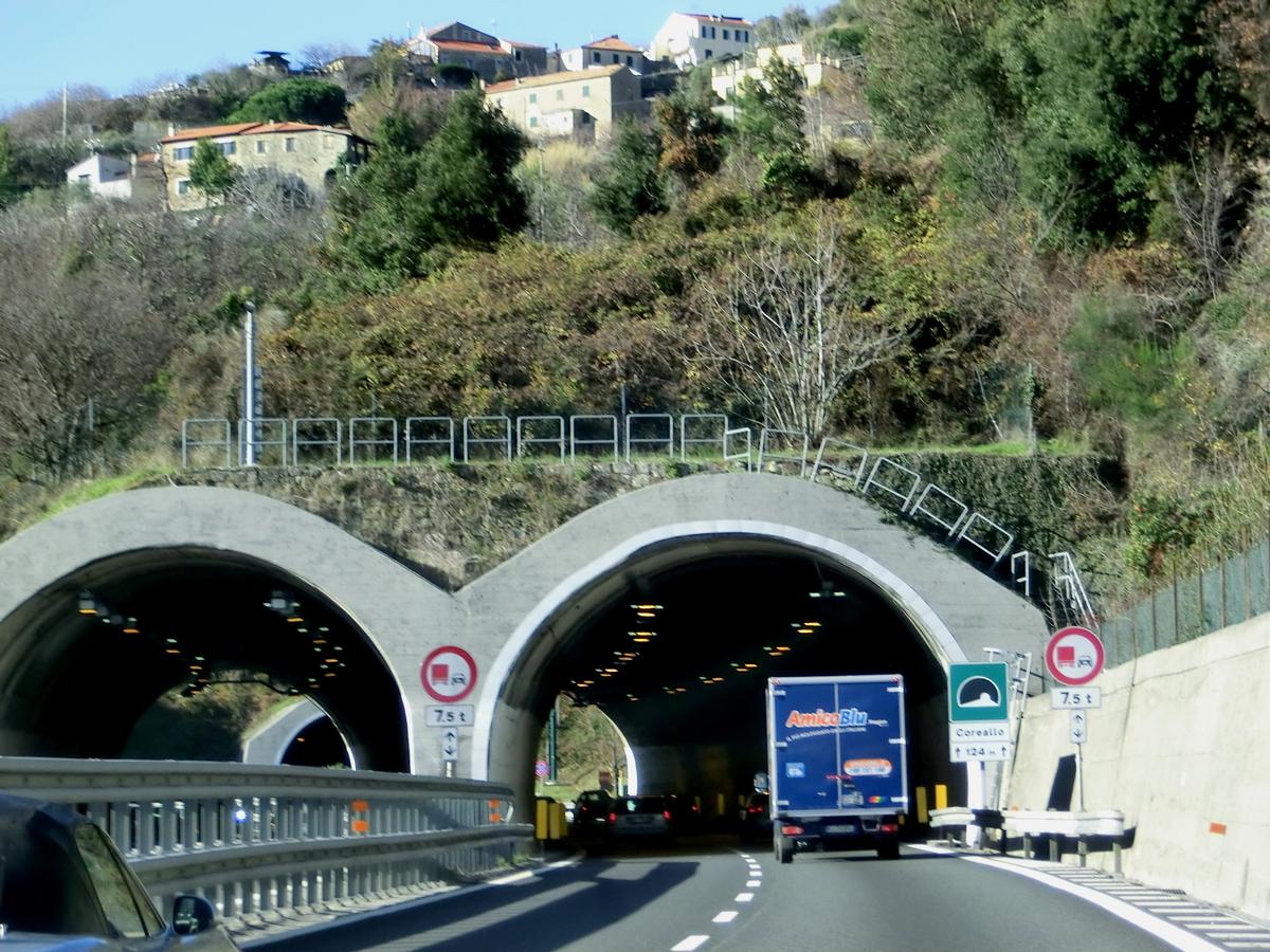 Coreallo Tunnel eastern portals 