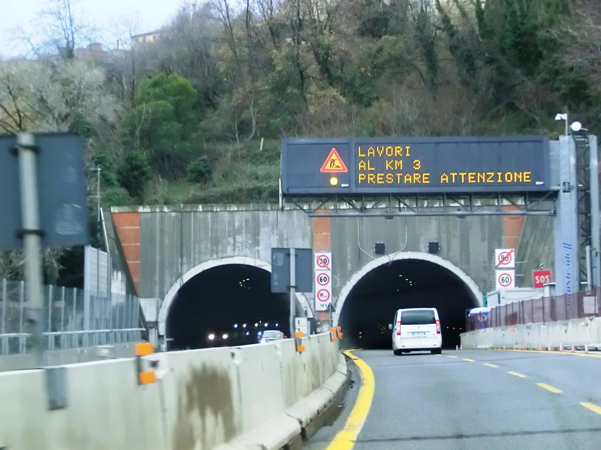 Coronata Tunnel eastern portals 