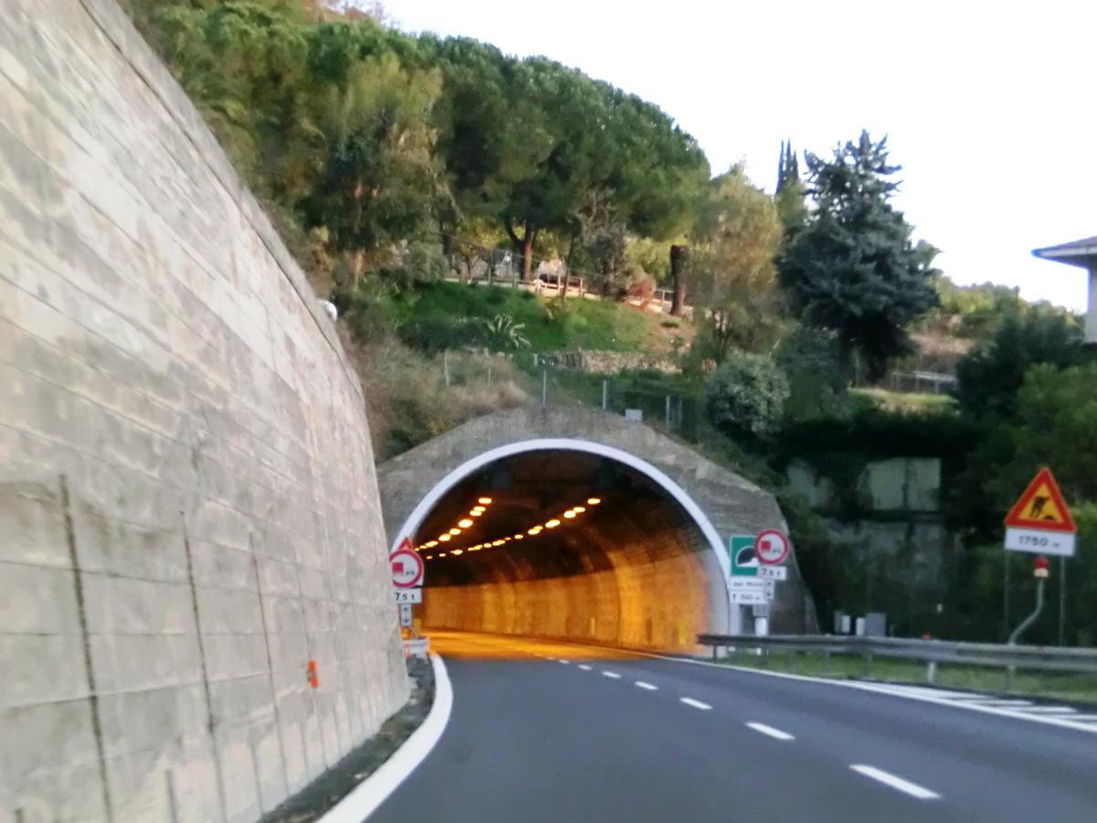 Mortola Tunnel western portal 